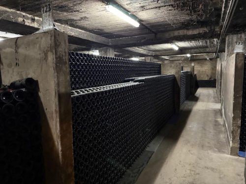 Visite-chateau-Musar-8
